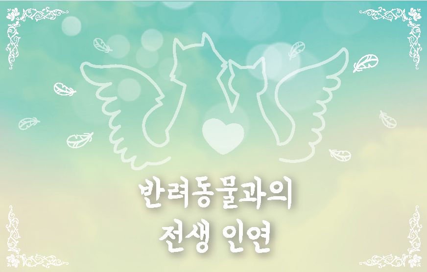 프로젝트 커버 이미지