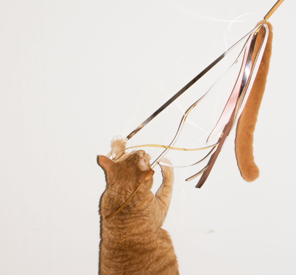 프로젝트 커버 이미지