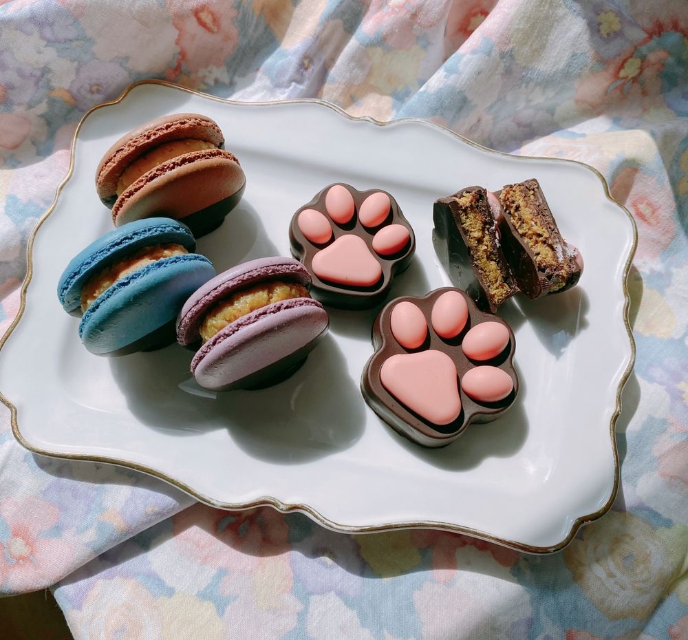 두바이 마카롱 & 냥냥 두바이 초콜릿 | 텀블벅 - 크리에이터를 위한 크라우드펀딩