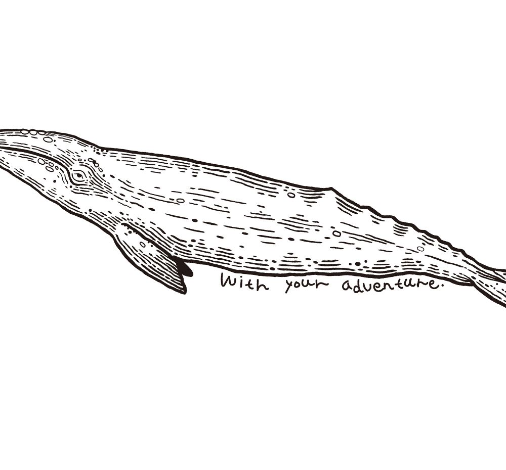 기본 프로젝트 커버 이미지