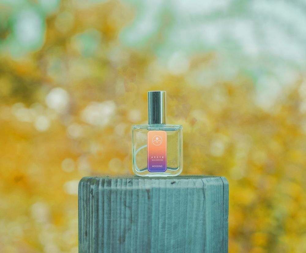 기본 프로젝트 커버 이미지