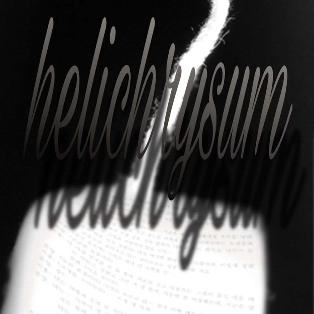 프로젝트 커버 이미지