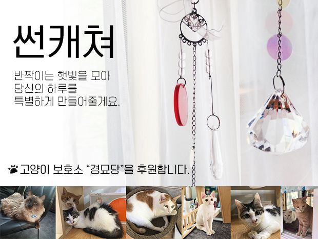 기본 프로젝트 커버 이미지