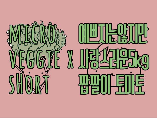 프로젝트 커버 이미지