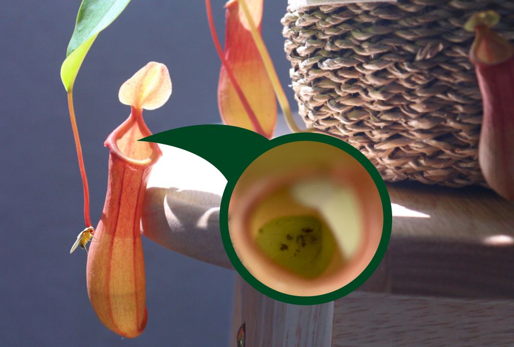 기본 프로젝트 커버 이미지