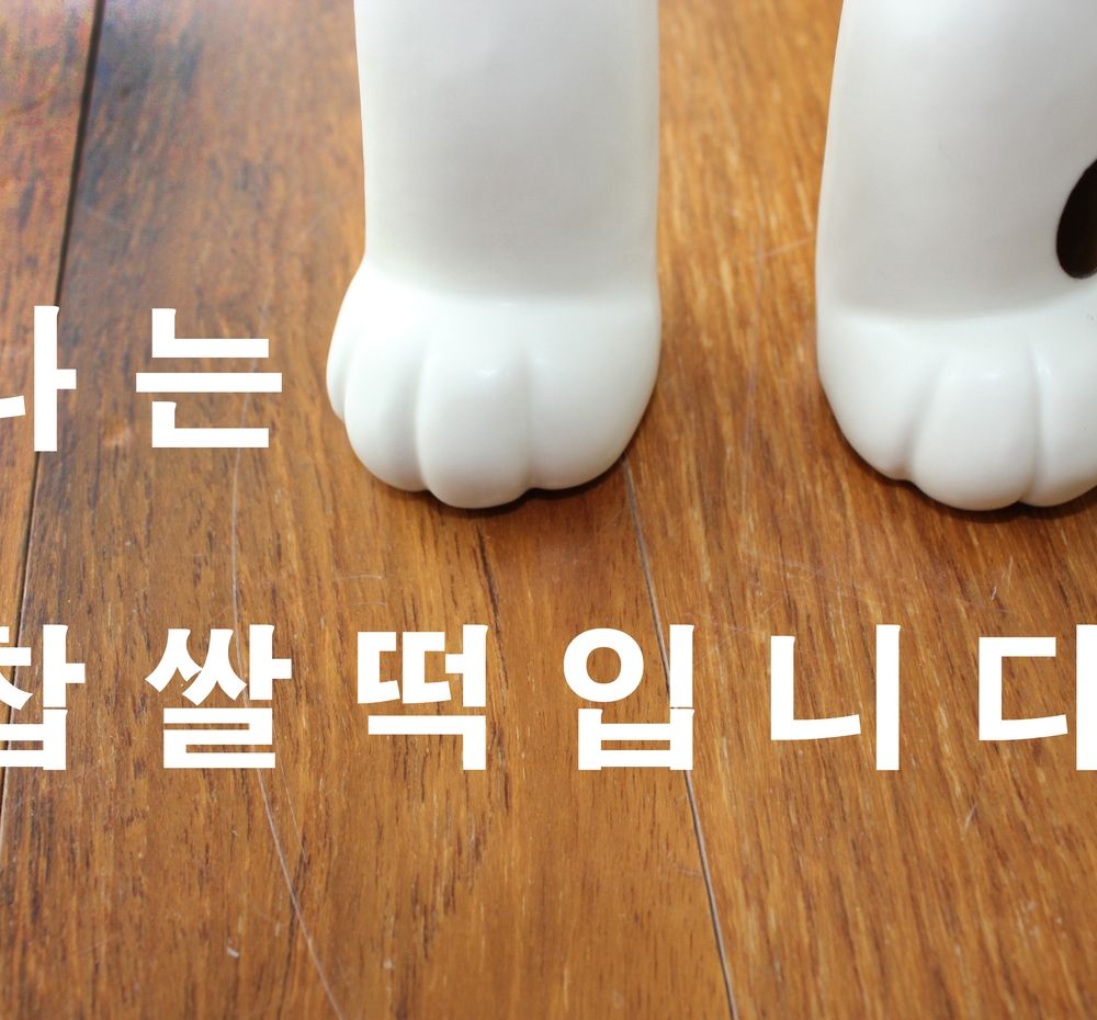 프로젝트 커버 이미지