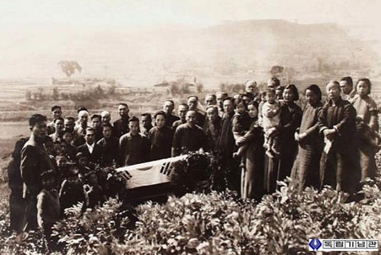 기본 프로젝트 커버 이미지