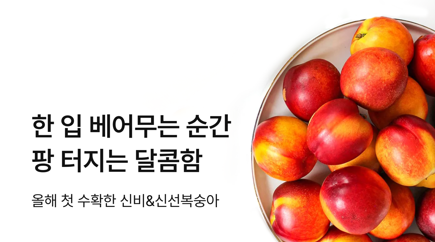  프로젝트 안내 이미지 입니다.