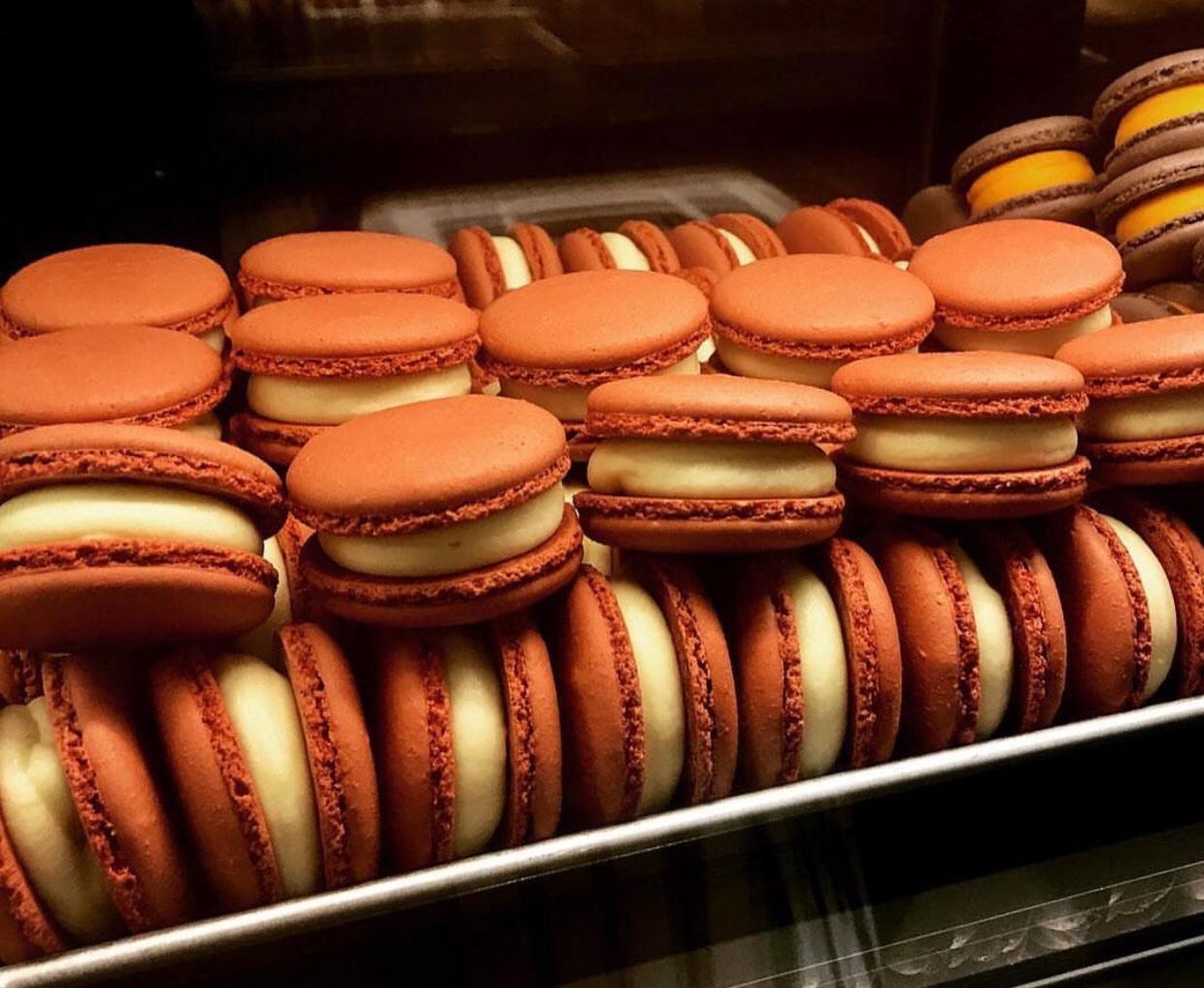 가을의 끝자락, 11월의 마카롱 | 텀블벅 - 크리에이터를 위한 크라우드펀딩