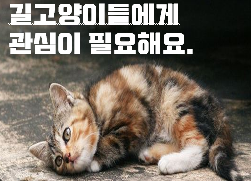 프로젝트 커버 이미지