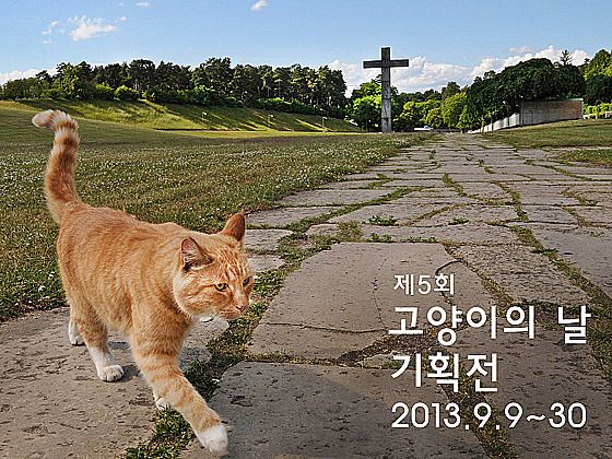 기본 프로젝트 커버 이미지